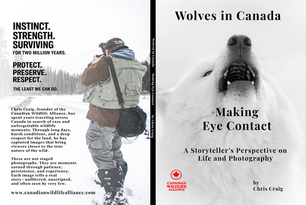 New-Book-Cover-Eye-C-part-2web